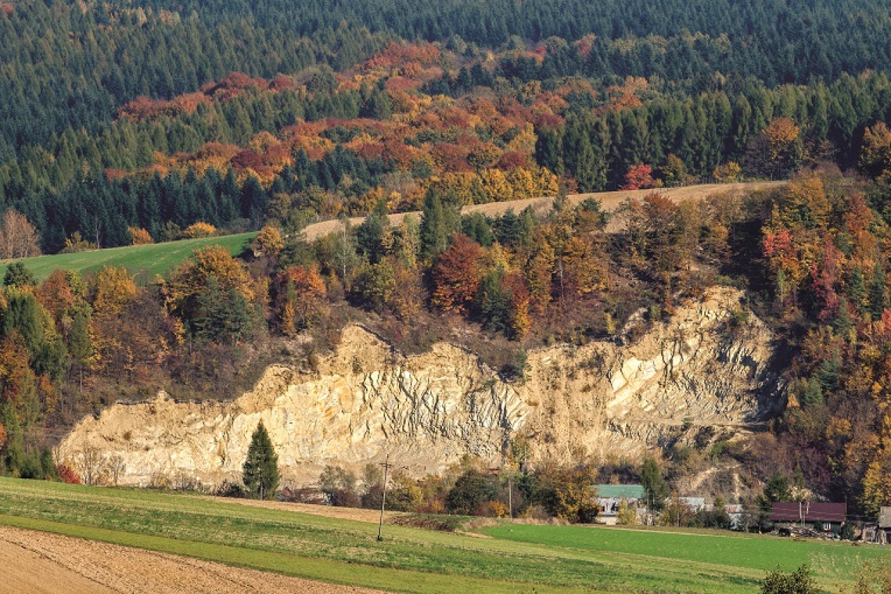 Gmina Roźwienica